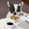custom pet portrait printed on a mug for print-on-demand