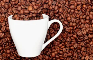 Eco friendly mugs with unique humorous slogans printed