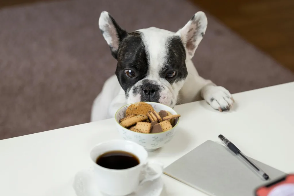 custom pet portrait printed on a mug for print-on-demand